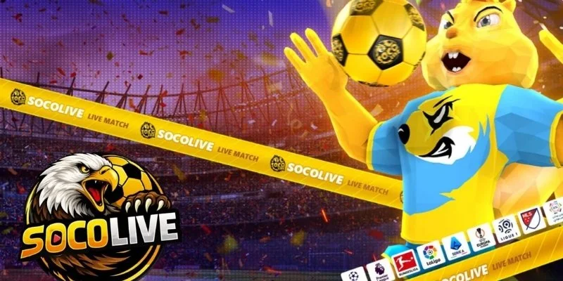 Socolive là gì? Hiểu nhanh trong 1 phút