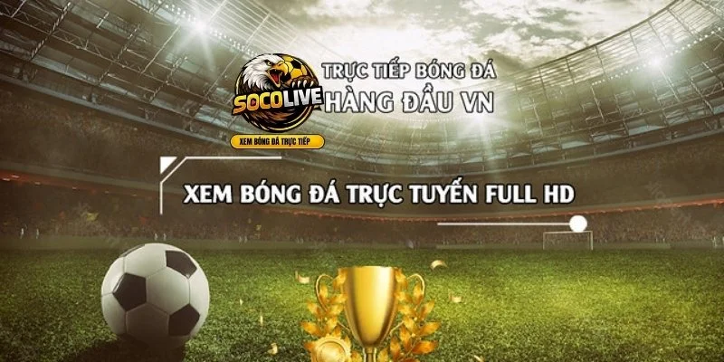 Socolive và nền tảng khác - Ai nên được ưu tiên hơn?